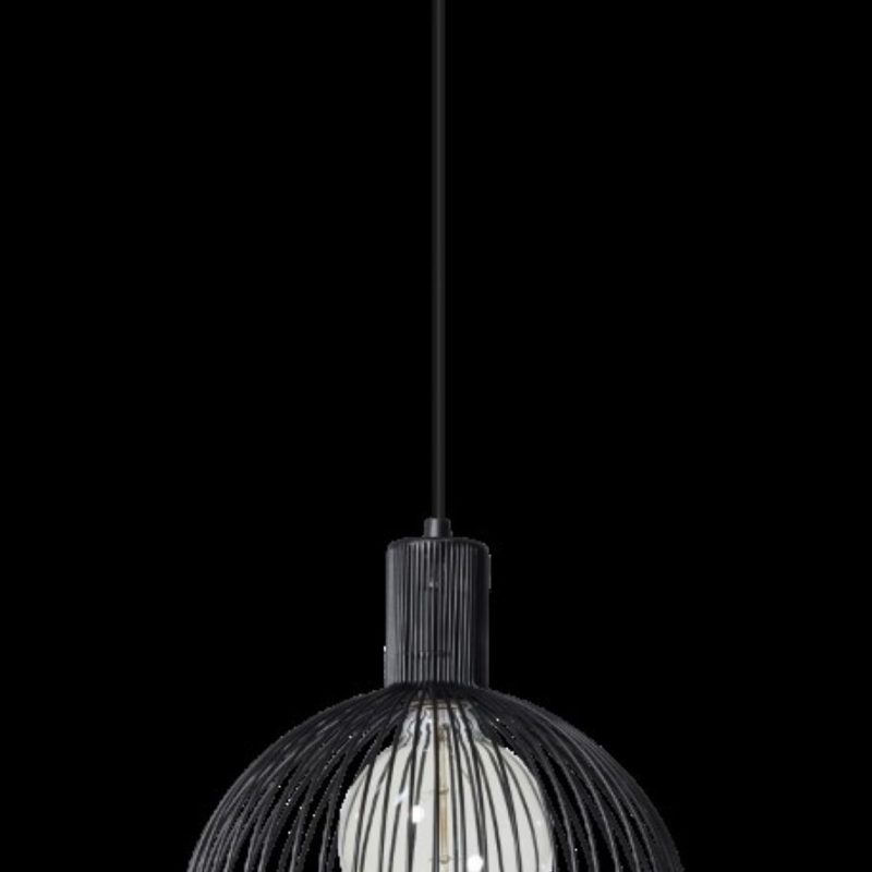 Lampe pendante ronde en fil de fer, 1 point lumineux 30cm, noir