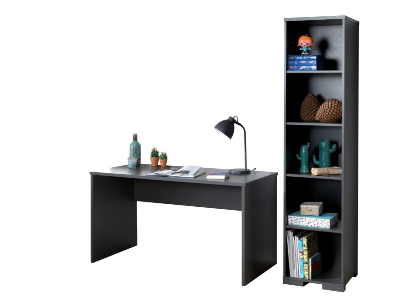 London lot avec bureau et bibliothèque en anthracite
