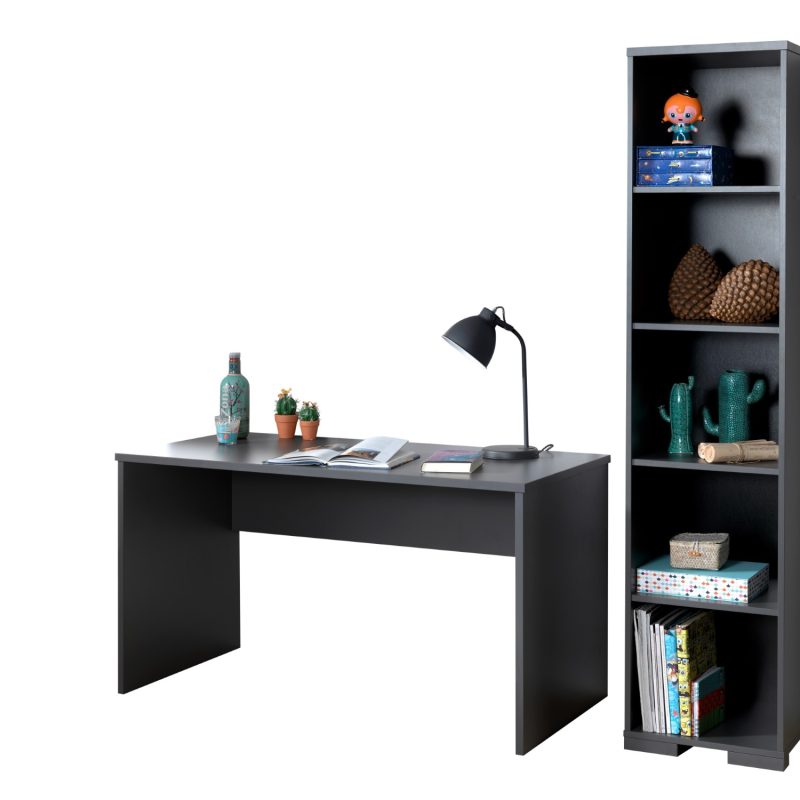 London lot avec bureau et bibliothèque en anthracite